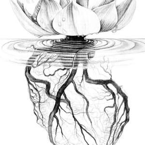 Meet your Posher, Manuela